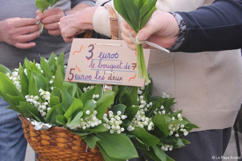 muguet 2