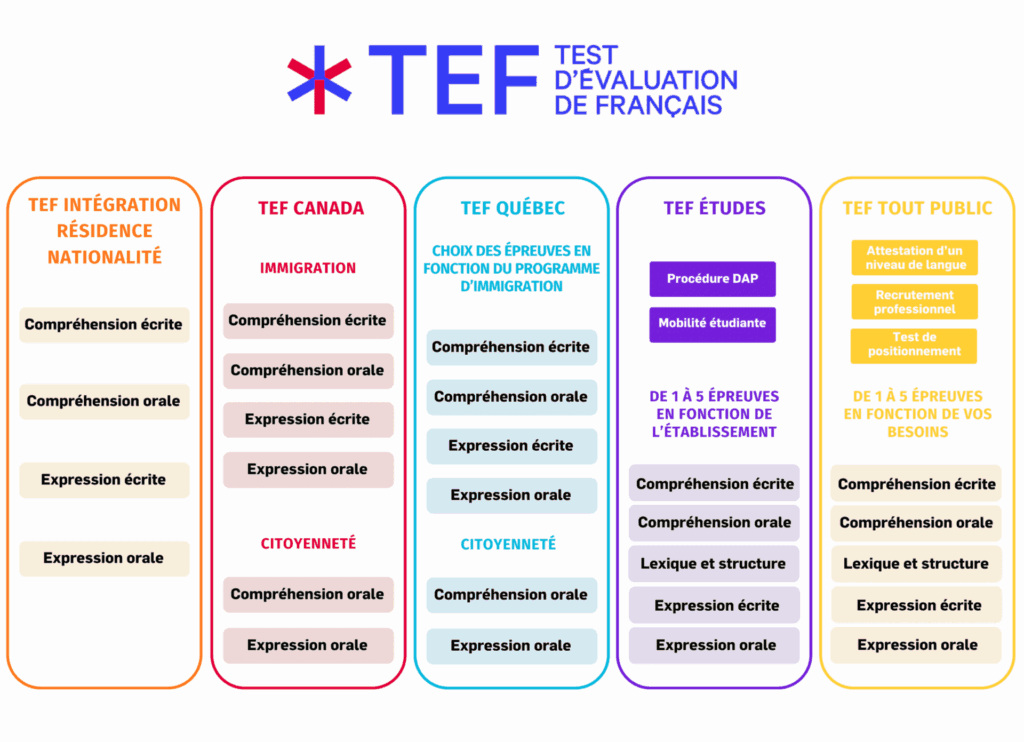 tableau declinaisons tef